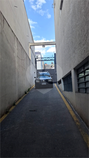 Foto REO1113647