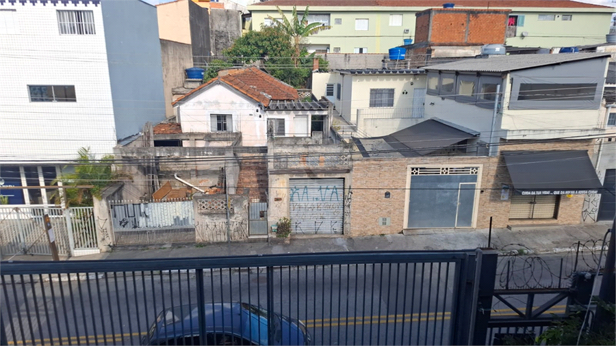 Foto REO1113647