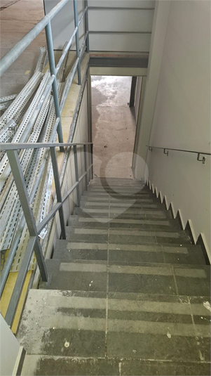 Foto REO1113647