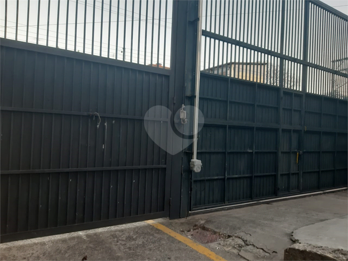 Foto REO1113647