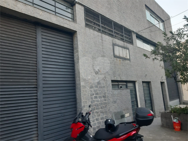 Foto REO1113647