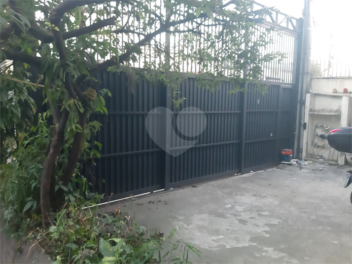 Foto REO1113647