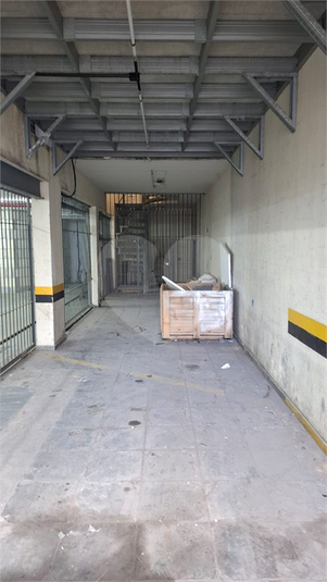 Foto REO1113647
