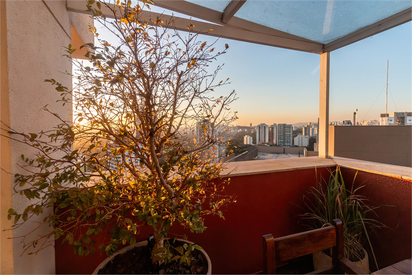 Foto REO1113661