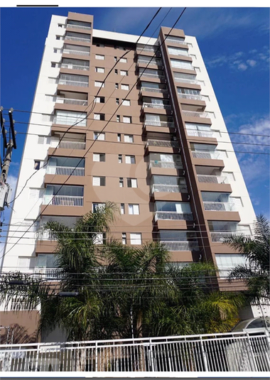 Foto REO1113662