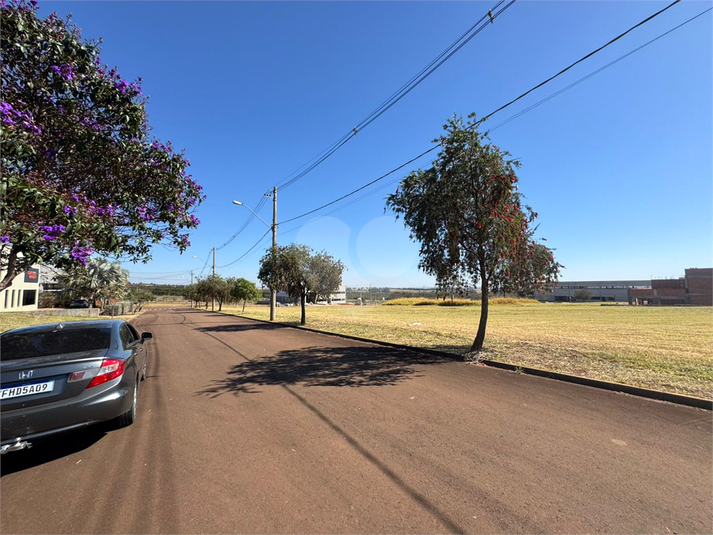 Foto REO1113664