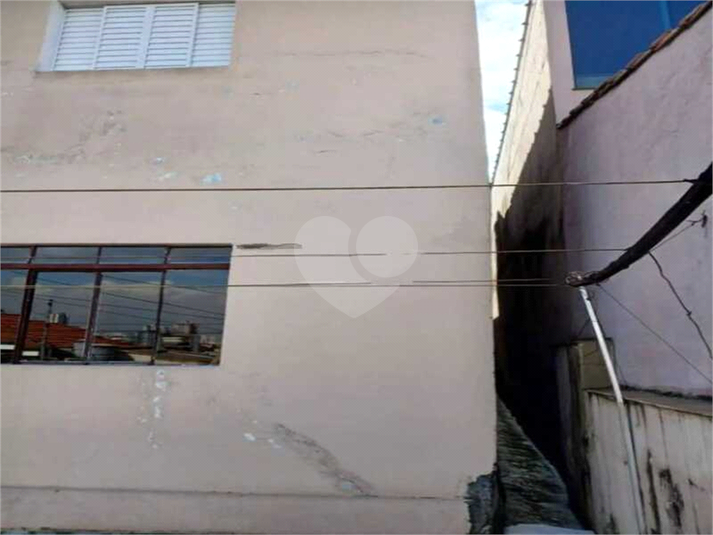 Foto REO1113665
