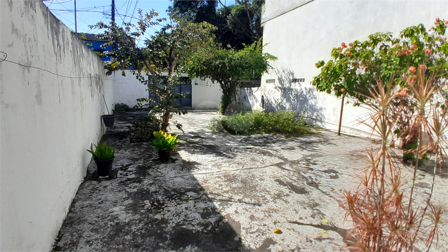 Foto REO1113682
