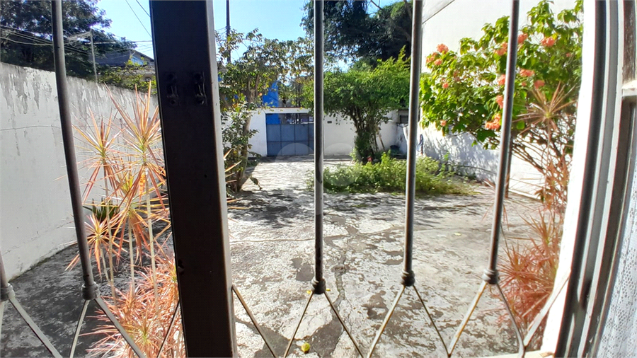 Foto REO1113682