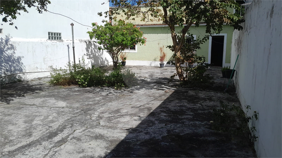 Foto REO1113682