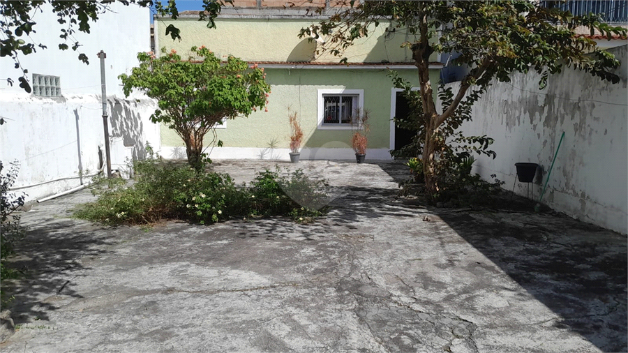 Foto REO1113682
