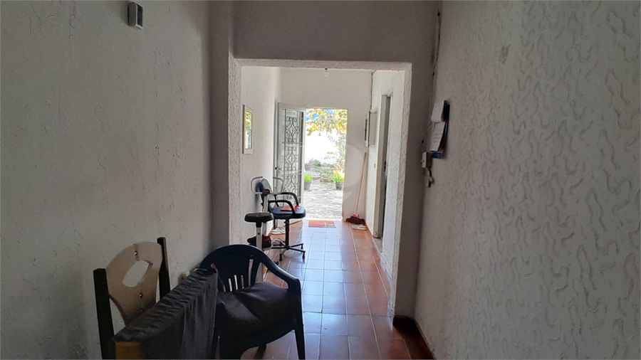 Foto REO1113682