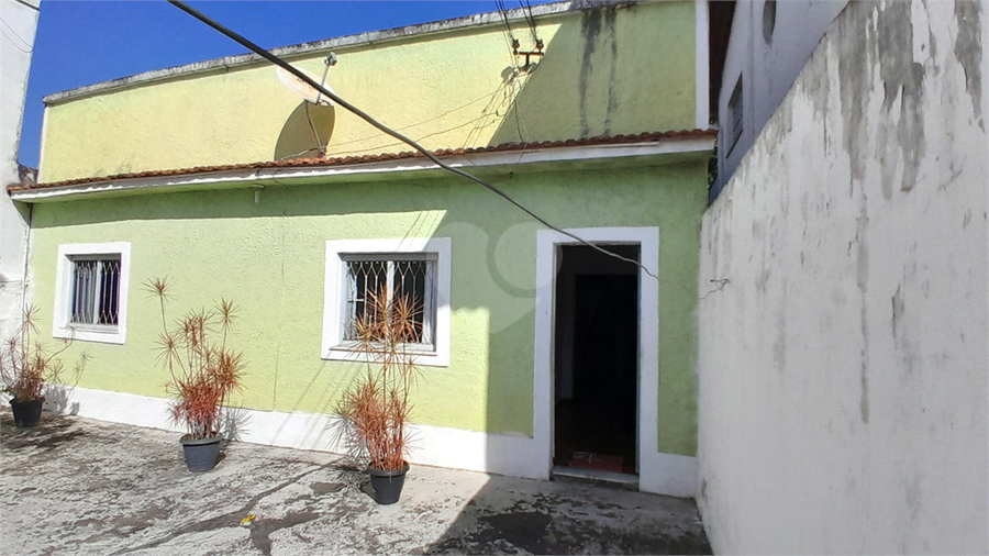 Foto REO1113682