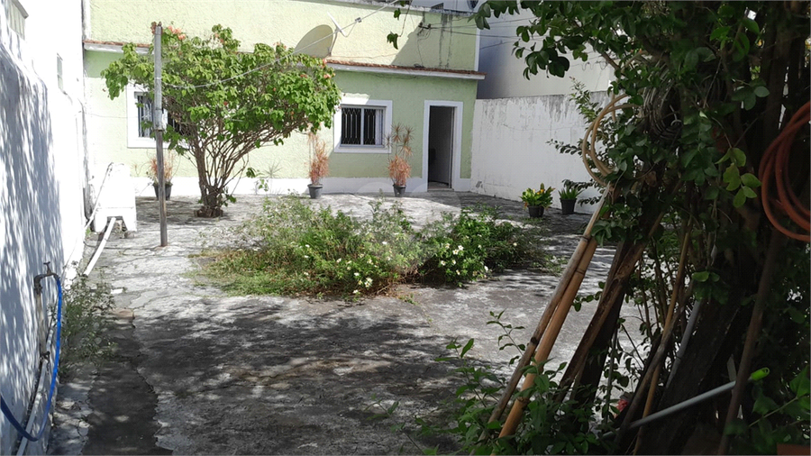 Foto REO1113682