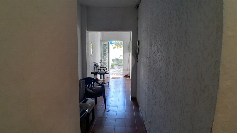 Foto REO1113682