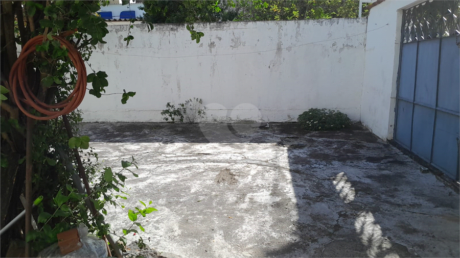 Foto REO1113682