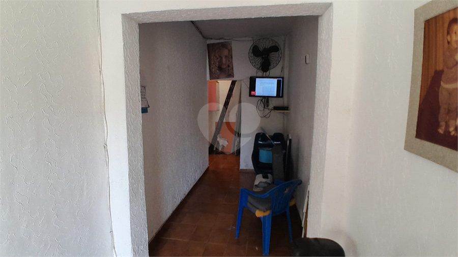 Foto REO1113682