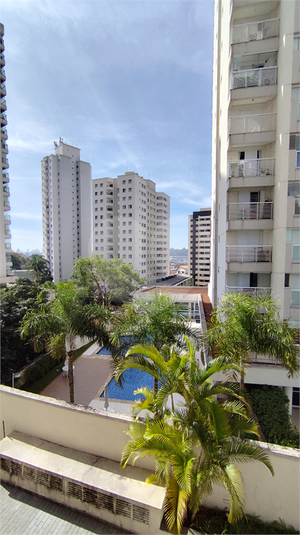 Foto REO1113685