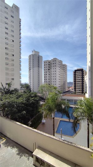 Foto REO1113685