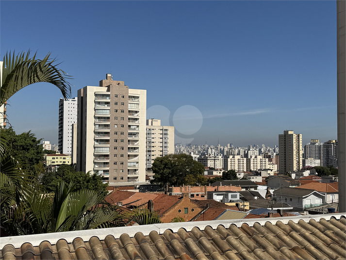 Foto REO1113692