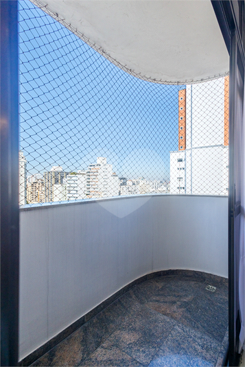 Foto REO1113698