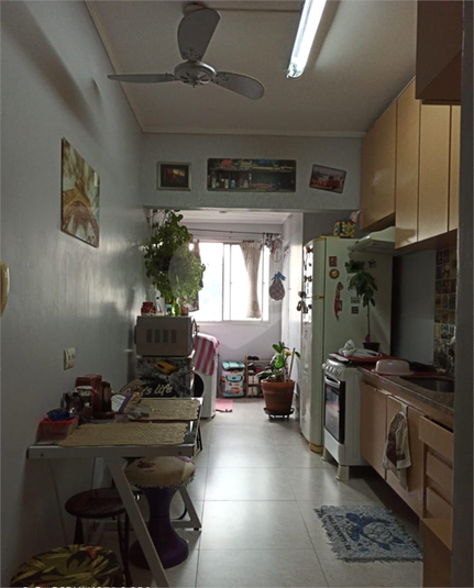 Foto REO1113705
