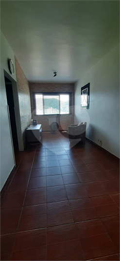 Foto REO1113705