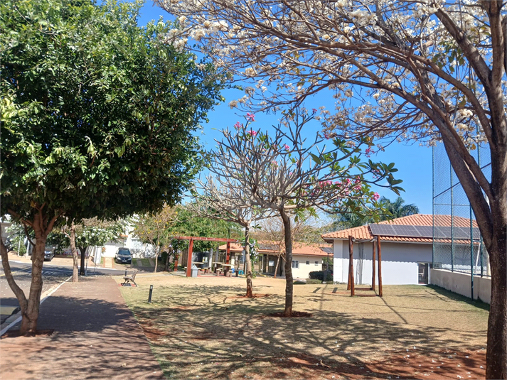 Foto REO1113721