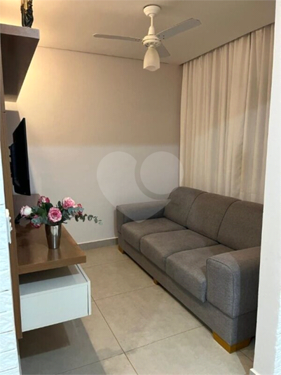 Foto REO1113721