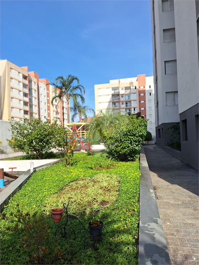 Foto REO1113722