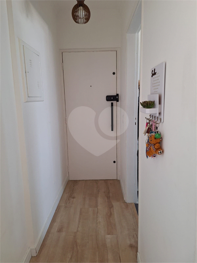 Foto REO1113726