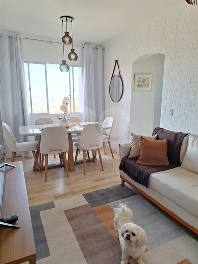 Foto REO1113726