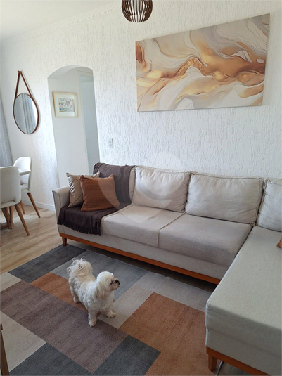 Foto REO1113726