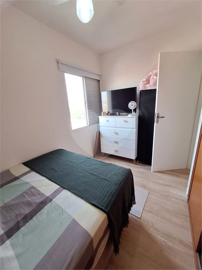Foto REO1113726