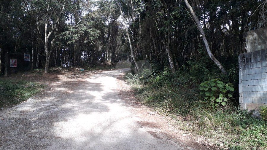 Foto REO1113728