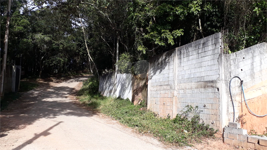 Foto REO1113728