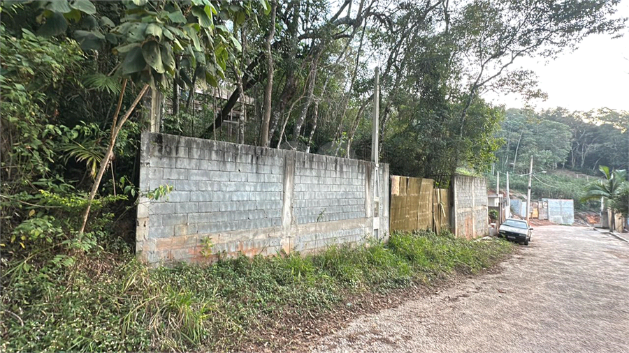 Foto REO1113728