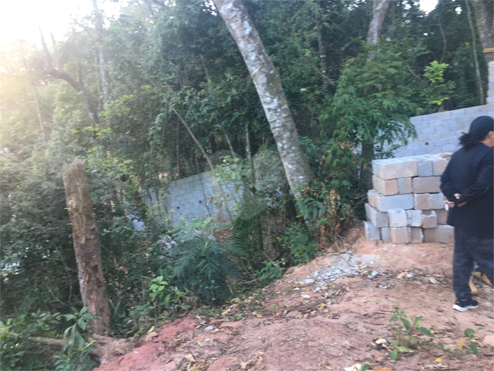 Foto REO1113728