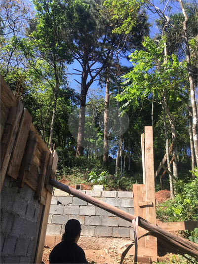 Foto REO1113728
