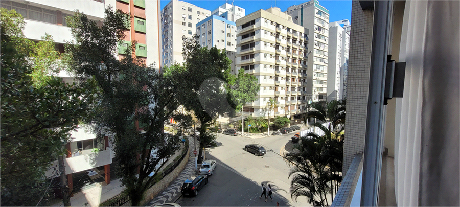 Foto REO1113746