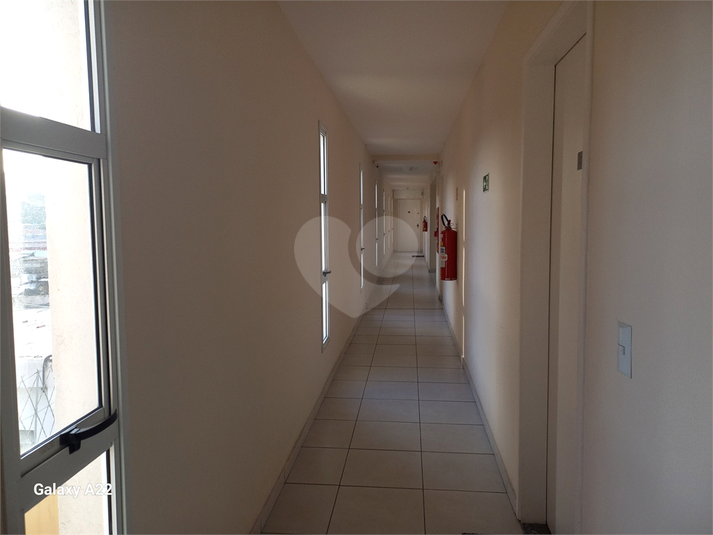 Foto REO1113747