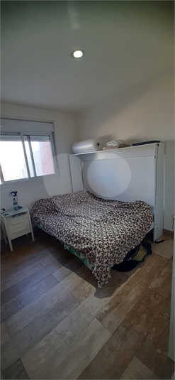 Foto REO1113752
