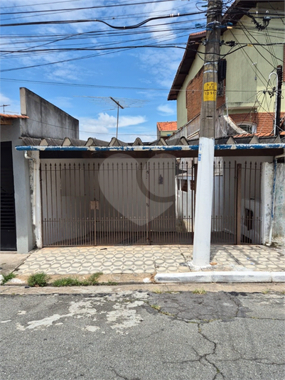 Foto REO1113754