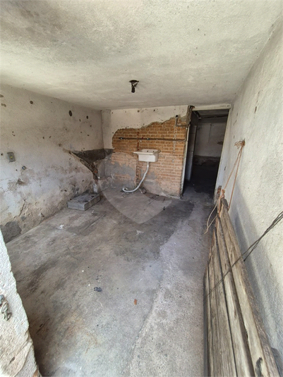 Foto REO1113754
