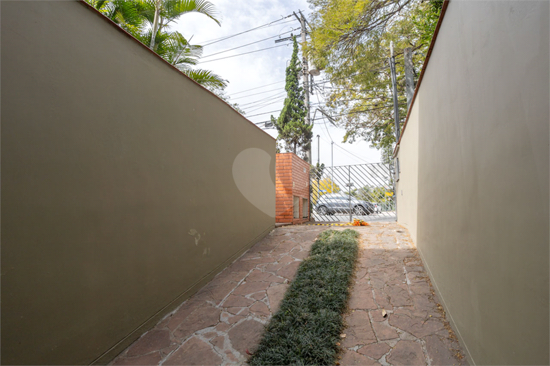 Foto REO1113755