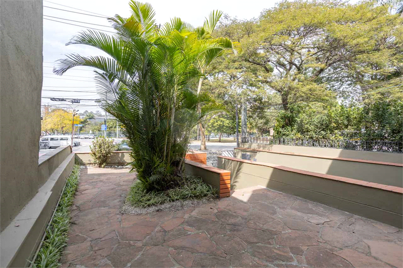 Foto REO1113755