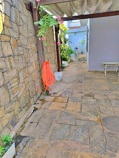 Foto REO1113756