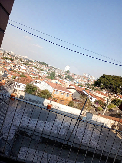 Foto REO1113763
