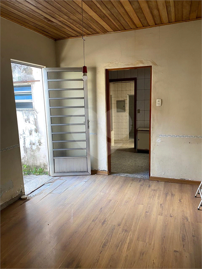 Foto REO1113765