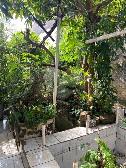 Foto REO1113765